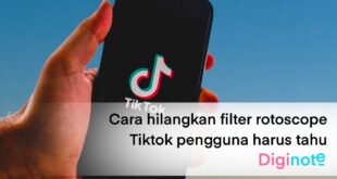 Cara Hilangkan Filter Rotoscope Tiktok Pengguna Harus Tahu